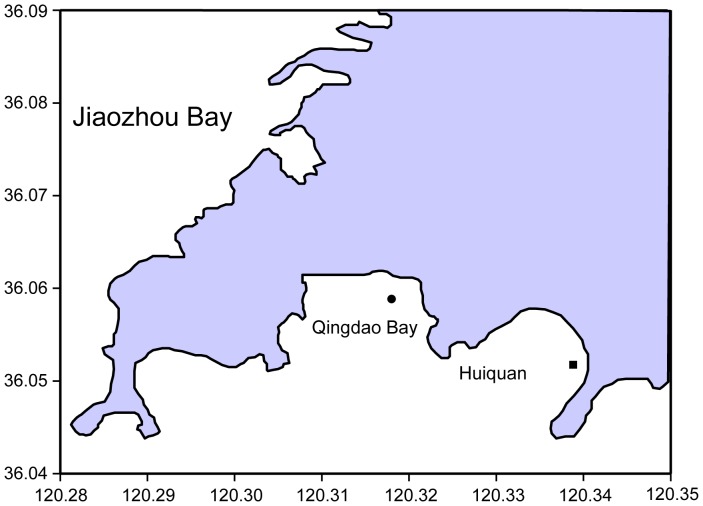 Location of study sites.▪, eelgrass transplantation zone in Huiquan Bay; •, natural intertidal eelgrass bed in Qingdao Bay.