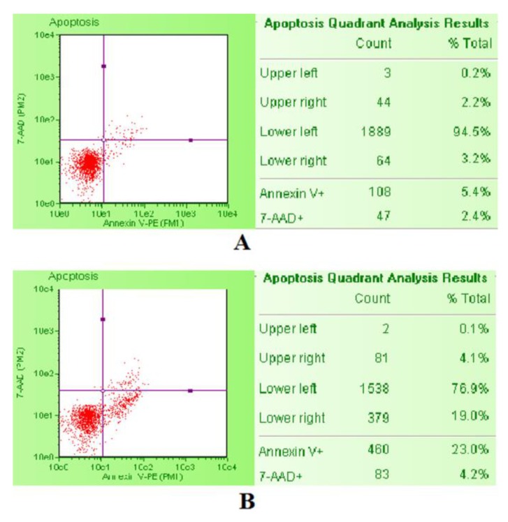 Example of the three populations identifiable with the Guava Nexin Reagent and analyzed with the Guava Nexin Software in untreated negative control (A) and staurosporine-treated positive control (B). On the lower left are the live cells 7-AAD and Annexin-V-PE negative, on the lower right the apoptotic cells 7-AAD negative and Annexin-V-PE positive, on the upper right the necrotic cells 7-AAD and Annexin-V-PE positive.