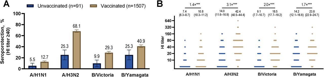 Prevalence of seroprotection (A) and comparison of the geometric mean hemagglutination inhibition titers (B) against four influenza virus strains by the 2024/2025 vaccination status. (A): The left panel displays the prevalence of seroprotection (HI titers ≥ 40), stratified by 2024/25 vaccination status. Bars represent the prevalence of seroprotection, with error bars indicating 95% CIs estimated using robust Poisson regression. (B): The right panel compares geometric mean HI titers by 2024/25 vaccination status. The presented values are geometric mean titers and 95% CIs, and the fold-change values (×) indicate the ratio of geometric mean titers, estimated using linear regression (***P < 0.001).Abbreviations: HI, hemagglutination inhibition; 95% CI, 95% confidence interval.