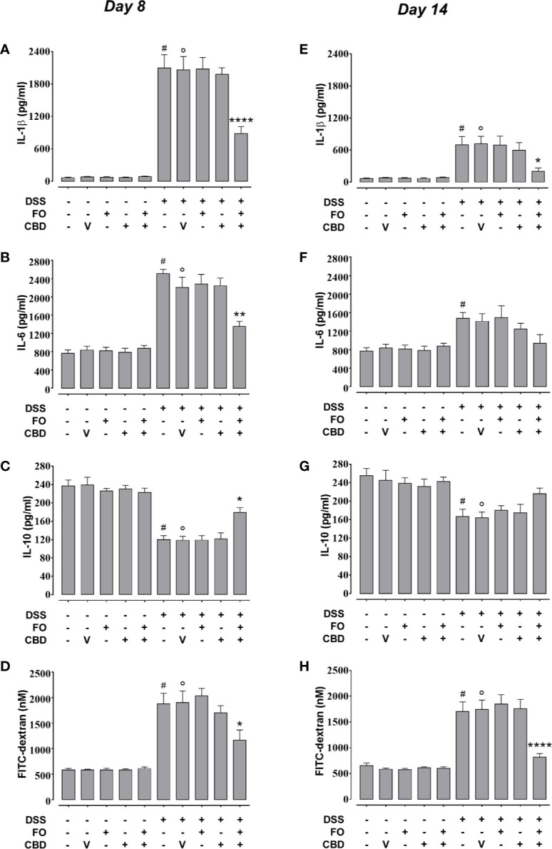 Effect of fish oil (20 mg/mouse) and CBD (1 mg/kg), both alone and in combination, on DSS-induced changes in interleukin-1β, interleukin-6, and interleukin-10 levels and intestinal permiability (Experiment 3). Effect of sesame oil (V, 90 µl/mouse, by oral gavage, used as a control), fish oil (FO, 20 mg/mouse, by oral gavage), CBD (1 mg/kg, by oral gavage) and FO + CBD on interleukin-1β (A, E), interleukin-6 (B, F), interleukin-10 (C, G) and serum FICT-dextran concentration (a measure of intestinal barrier function; D, H) in control and DSS-treated mice (weighing 28–30 g) at day 8 (A–D) and day 14 (E–H) from DSS injection. Bars are mean ± SEM of five tissues (A–D, E, F) or 6 serum samples (D, H) for each experimental group. Data in (A) [F(9,40) = 48.44; p < 0.0001], (B) [F(9,40) = 31.52; p < 0.0001], (C) [F(9,40) = 25.34; p < 0.0001], (D) [F(9,50) = 22.99; p < 0.0001], (E) [F(9,40) = 9.521; p < 0.0001], (F) [F(9,40) = 4.837; p = 0.0002], (G) [F(9,40) = 5.822; p < 0.0001], and (H) [F(9,50) = 23.78; p < 0.0001] were statistically analyzed using one-way ANOVA followed by the Tukey-Kramer multiple comparisons test. #p < 0.05 (F) or p < 0.01 (E, G) or p < 0.0001 vs. control (A–D, H); °p < 0.05 (G), 0.001 (E), or p < 0.0001 (A–D, H) vs. vehicle; *p < 0.05, **p < 0.01, and ****p < 0.0001 vs. DSS + vehicle or DSS + FO or DSS + CBD.