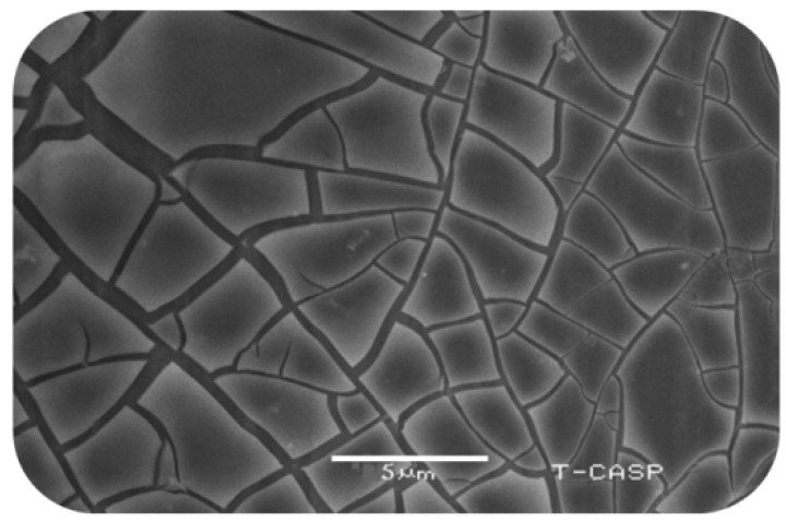 SEM graph of the etched aluminum substrate.