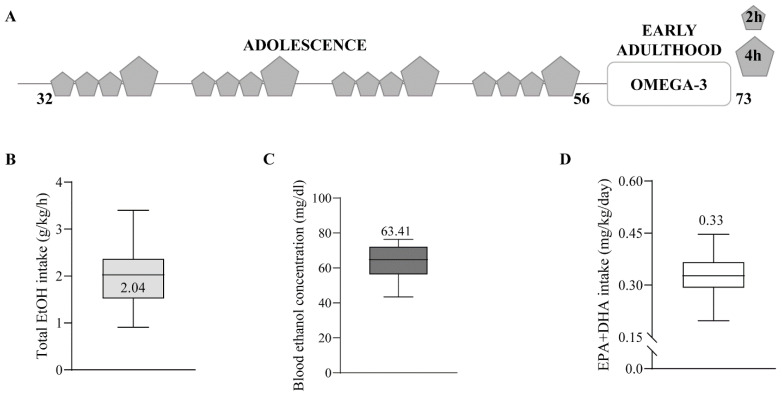 Schematic timeline of the EtOH procedure, total EtOH intake, BEC, EPA and DHA intake. (A) C57BL/6J male mice were submitted to the DID procedure over four weeks (PND 32–56). They had 2 h free access to H2O or EtOH for the first three days of the week, and 4 h the fourth day. During abstinence (PND 56–73), half of them were fed with n-3 supplementation (EPA and DHA 2%). (B) Average of total EtOH intake during DID of EtOH (2.033 ± 0.5437 g/kg/h, n = 8) and n-3-EtOH (2.051 ± 0.5941 g/kg/h, n = 8) (Student’s t-test, p > 0.05). (C) Average BEC obtained on the last day of EtOH exposure in EtOH (62.96 ± 10.89 mg/dL; n = 8) and n-3-EtOH (63.92 ± 10.08 mg/dL; n = 7) (Student’s t-test, p > 0.05). (D) Average of total EPA and DHA intake during withdrawal in n-3-H2O (0.332 ± 0.0727 mg/kg/day, n = 12) and n-3-EtOH mice (0.324 ± 0.0679 mg/kg/day, n = 12) (Student’s t-test, p > 0.05).