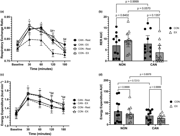 (a) Respiratory exchange ratio (RER) responses over time. Data were analyzed with a linear mixed model. Time effects denoted by * (different from Baseline, p < 0.05), $ (different from 30 min, p < 0.05), and # (different from 60 min, p < 0.05). Trial effects denoted by + (different from 180 min in Rest only). Data are means ± SEM. (b) RER incremental area under the curve (iAUC). Data were analyzed with a two‐way repeated measures ANOVA. Data are means ±95% confidence intervals. (c) Energy expenditure (EE) responses over time. Data were analyzed with a linear mixed model. Time effects denoted by * (different from Baseline, p < 0.05), $ (different from 30 min, p < 0.05), and # (different from 60 min, p < 0.05). Data are means ± SEM. (d) EE iAUC. Data were analyzed with a two‐way repeated measures ANOVA. Data are means ±95% confidence intervals.