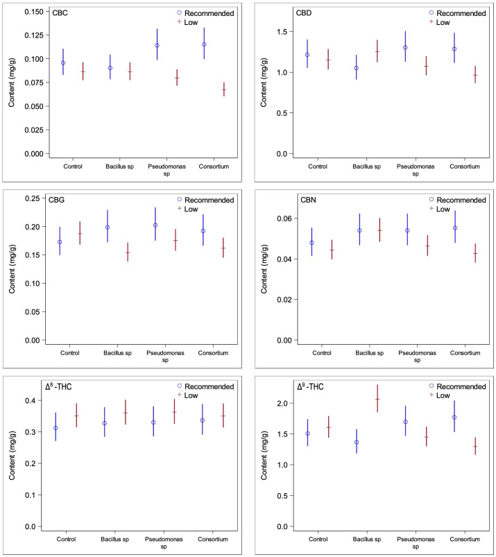 Comparisons of cannabinoid contents between low and recommended nutrient regimes across PGPR treatments. Under recommended nutrient conditions PGPR did not lead to any significant changes in cannabinoid content, whereas under low nutrient conditions, significant changes were observed for CBG and Δ9-THC under Bacillus sp. treatment and CBC under consortium treatment.