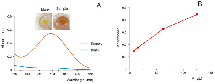 (A) Images and spectra obtained for a blank and an extract of cannabis using the reaction with FBB/PDMS. (B) Variation of the absorbance (corrected by the absorbance of a blank) as a function of the volume of sample extract per mL of reaction mixture. Reaction time, 1 min. For other experimental details, see text.