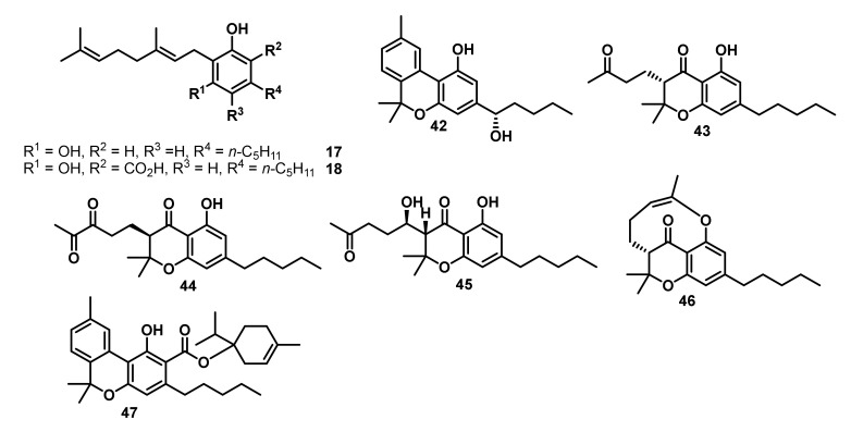 Structure of minor cannabinoids isolated from high potency Cannabis sativa by ElSohly, Ross, and co-workers [136,137,138,139].