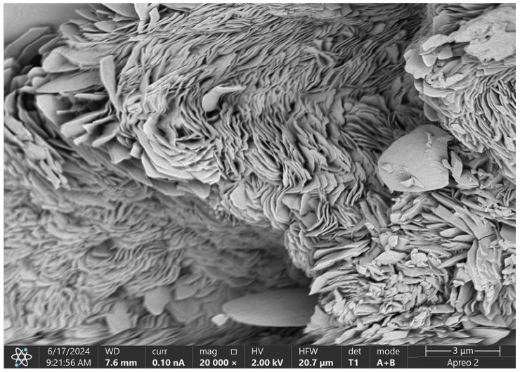 SEM micrograph of the Asp:Glu 0.84:0 + CBD sample.
