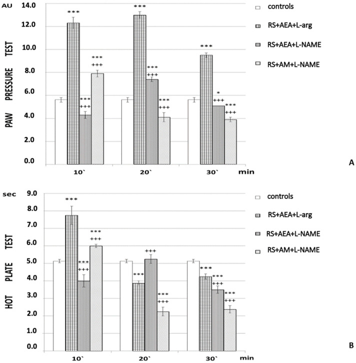Effects of AEA and L-arg with L-NAME AM251 + L-NAME pretreatment estimated by (A) PP and (B) HP tests after 1 h of restraint (1 h RS) in rats. The mean values ± SEM are presented. *** p < 0.001, * p < 0.05 vs. control; +++ p < 0.001 vs. 1 h RS + AEA + L-arg; p < 0.001 (F = 1001.73346 at the 10th min; F = 232.52248 at the 20th min; F = 536.92814 at the 30th min).