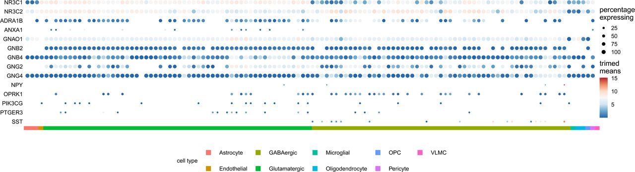 Dot plot of trimmed mean gene expression per cell type for GR, MR, and the identified MCODE cluster, and their specificity (percentage of cell types expressing them). Genes with a trimmed mean expression of 0 in all cell types (meaning they show expression in less than 25% of cells for each cell type) are omitted from the plot (see Methods section for details). The red arrow points to high mean expression (dark red colored dot) of NPY very specific for a particular SST-expressing GABAergic neuronal cell type.