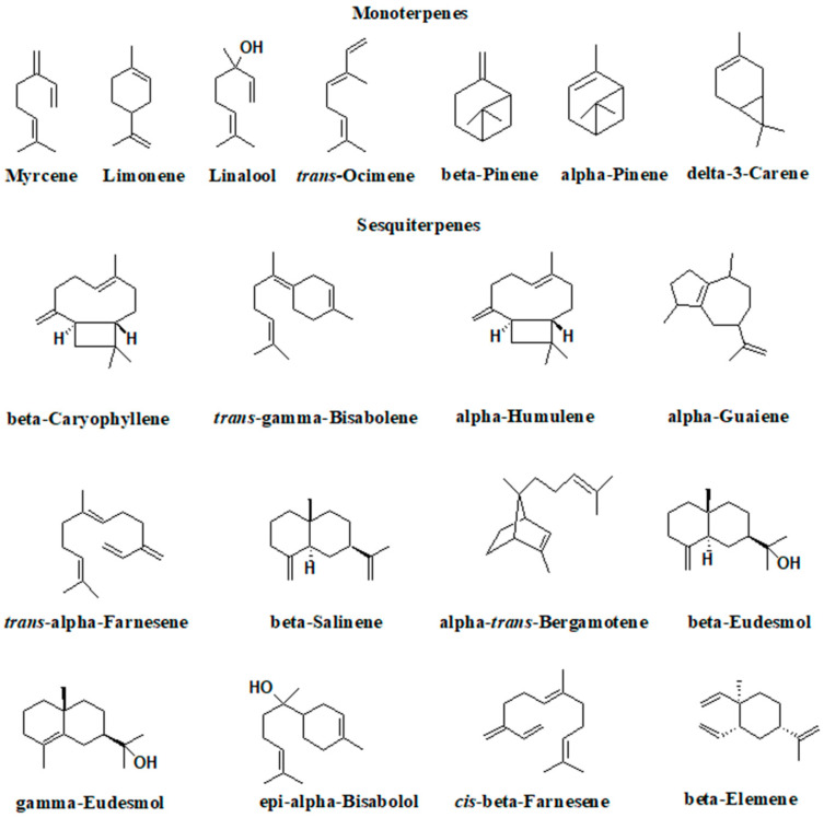Terpenoids present in essential oils are obtained from the hemp aerial part.