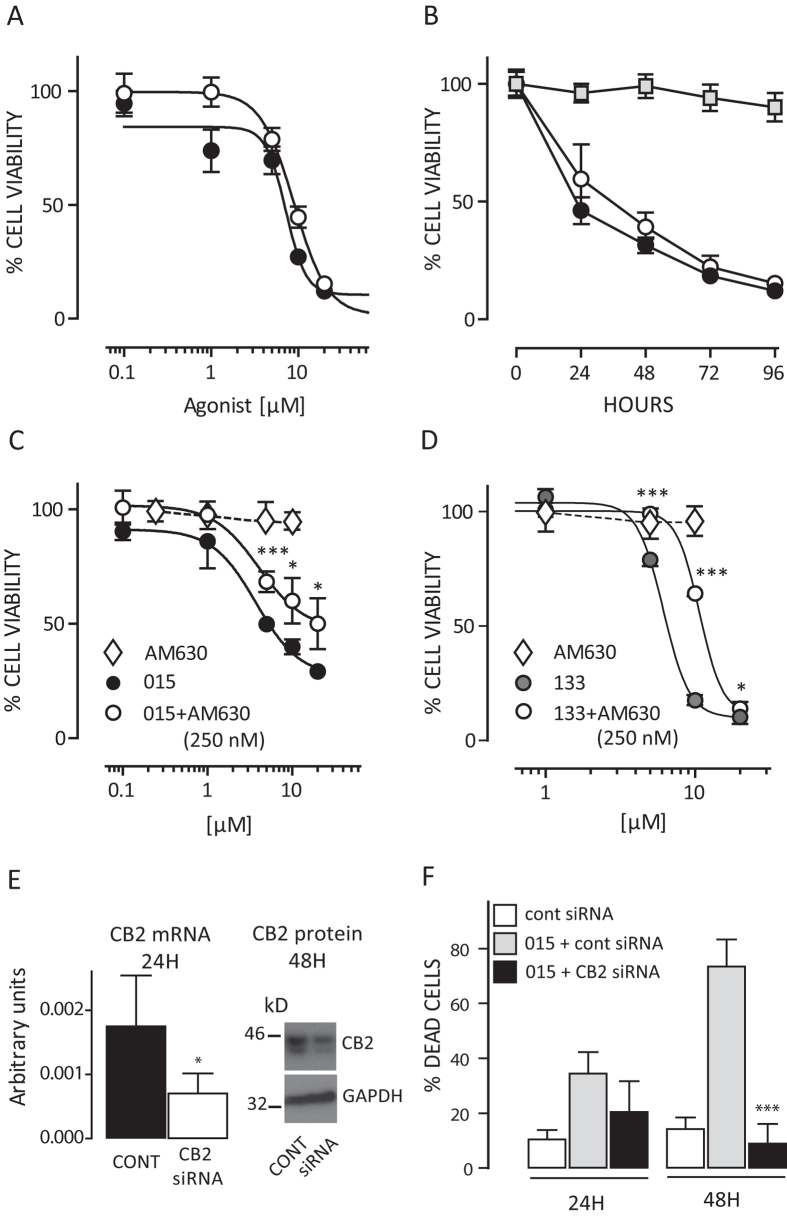 Effect of cannabinoids on bladder cancer cell proliferation.Panel A: Dose-response cytotoxicity (MTT assay) on RT112 (black symbols) and RT4 (white symbols) cells, measured 72 hours post JWH015. Panel B: Kinetics of cytotoxicity after 20 μM JWH015 on both RT4 (white symbols) and RT112 (black symbols) cells. The effect on normal fibroblasts is also shown (grey square symbols). Panels C and D: Effect of the CB2 antagonist AM630 (0.25 μM) on CB-2 agonist-induced RT112 cell toxicity. Cells were pre-treated with AM630 for 30 min before exposure to either different concentrations of JWH015 (015, C) or JWH133 (133, D). Cell viability was assayed (MTT assay) 72 hrs post agonist challenge. Effect of antagonist alone (AM630, 0.25–10 μM range, white diamonds) is shown. *p < 0.05, ***p < 0.001 vs agonist alone, 2-ways ANOVA, Bonferroni post-test. Data are represented as mean ± sd of quintuplicate values. A single experiment is shown as representative of three independent ones with similar results. Panel E: down-modulation of CB2 mRNA (qPCR) and protein (Western blot) in RT112 cells after specific gene silencing. *p < 0.05 vs control siRNA (T test). Panel F: Effect of CB2 genetic silencing 24 and 48 hrs post JWH015 (015, 20 μM) on cytotoxicity. Data are expressed as mean ± SD of quadruplicate cell counts (Trypan Blue exclusion). ***p < 0.001 vs 015+cont siRNA (1-way ANOVA, Dunnett’s post test).