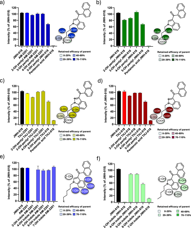 Metabolite efficacy expressed as % of the activity of JWH-018 at the concentration of 20 µg/mL.Error bars represent standard error of the mean (SEM). Hydroxypentyl and hydroxyindole metabolites are grouped according to their parent and hydroxylated substructure. a AM-2201 and monohydroxylated pentyl metabolites, b JWH-018 and monohydroxylated pentyl metabolites, c THJ-018 and monohydroxylated pentyl metabolites and d THJ-2201 and monohydroxylated pentyl metabolites. e AM-2201 and monohydroxylated indole metabolites. f JWH-018 and monohydroxylated indole metabolites. 5-hydroxypentyl JWH-018 and pentanoic acid JWH-018 are depicted in both (a, b) because they can originate from both JWH-018 and AM-2201. Likewise, 5-hydroxypentyl THJ-018 and pentanoic acid THJ-018 are shown both in (c, d). The chemical structures of the parent with all possible hydroxy positions are depicted.