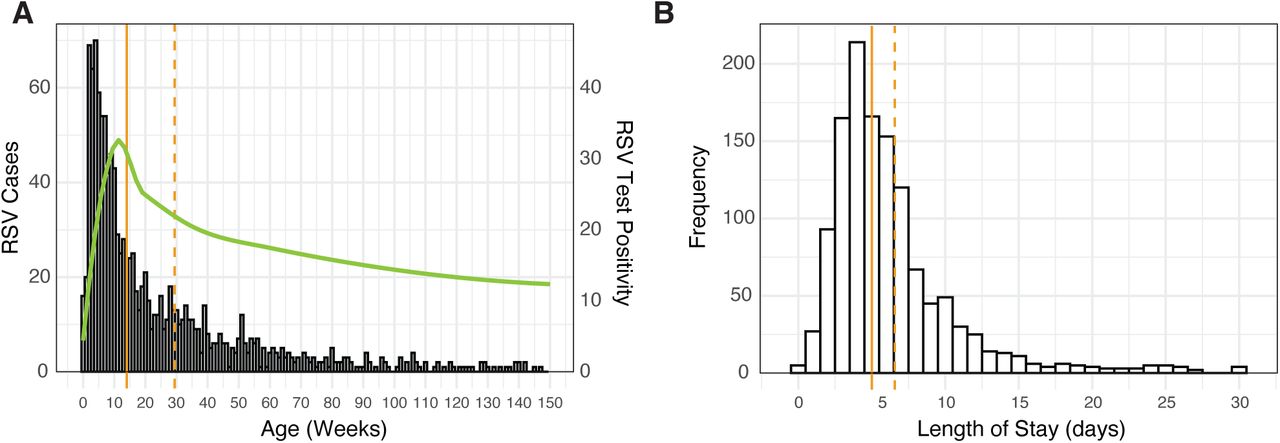 Age distribution of RSV cases and length of hospital stay.A. Age distribution of RSV cases (n = 1,261) in weeks, where the green line represents RSV test positivity in different age groups, the solid orange line indicates the median age, and the dotted orange line shows the mean age. B. Length of hospital stay in days of RSV cases (n = 1,261), with the solid orange line representing the median length of stay and the dotted orange line the mean.