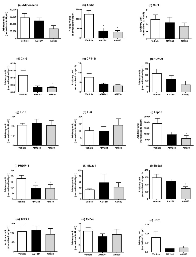 Effect of AM1241 or AM630 treatment on DIO rats’ epididymal WAT mRNA expression. DIO rats were injected daily with AM1241 (3 mg/kg of body weight, ip), AM630 (0.3 mg/kg of body weight, ip), or vehicle for six weeks. All results are presented as a mean ± SEM in arbitrary units (normalized to housekeeping gene HPRT1) from n = 6–7 (AM1241)-, n = 6–9 (AM630)-, and n = 7–9 (vehicle)-treated DIO rats. Significance * p < 0.05 compared to vehicle.