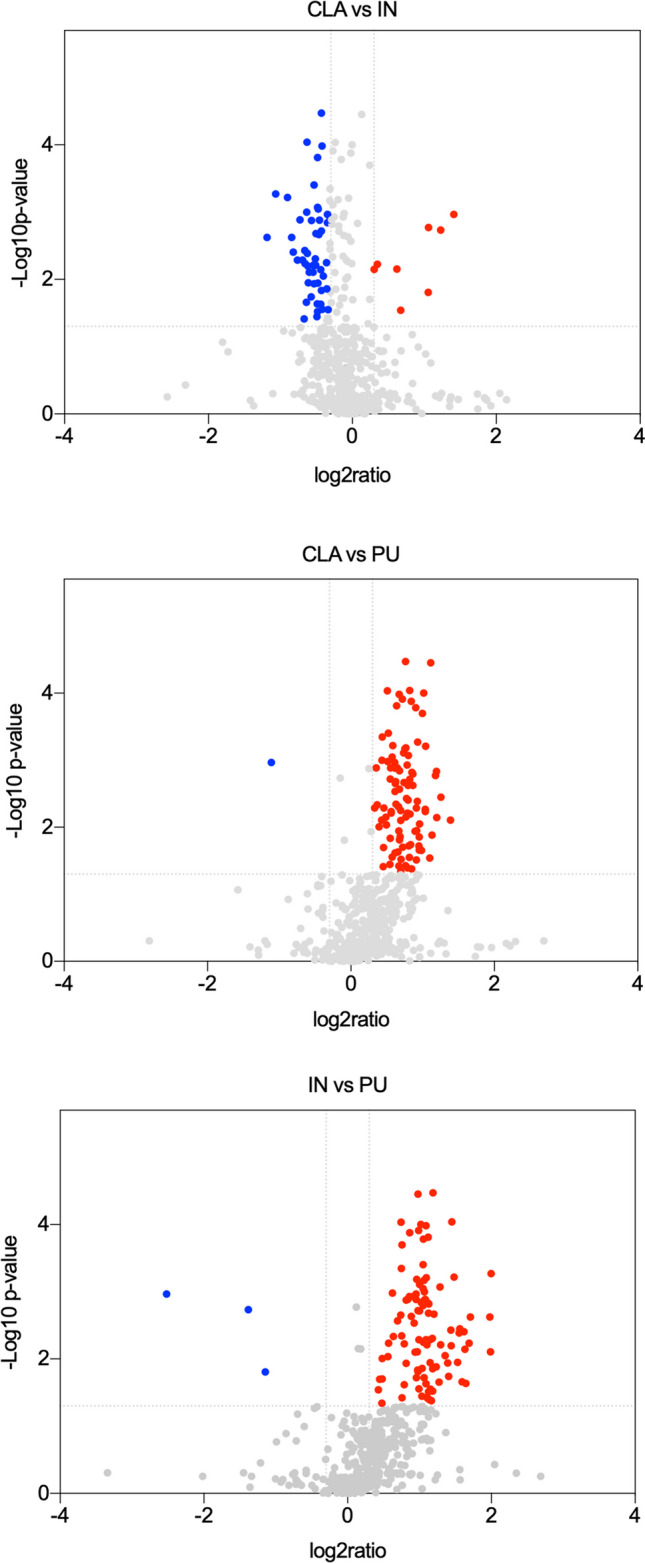 Scatter plot of fold change (x-axis) against log p value (y-axis) of all quantified proteins. Upregulated and downregulated proteins are colored red and blue, respectively. Dotted lines indicate the threshold of significance (Y-intercept) and ratio > 1.2 (X-intercept)