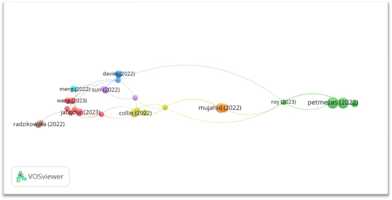 Network visualization map of the bibliographic coupling between authors