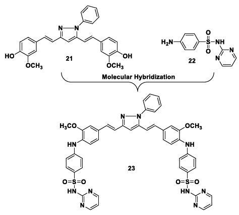 Design of phenylpyrazole-curcumin sulfonamide derivatives with antioxidant and anti-apoptotic properties.