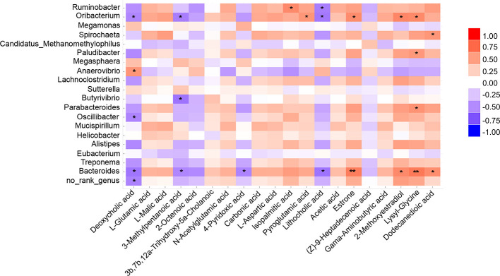 Correlations between plasma metabolite and gut microbiota. Heatmap indicated that some microbes were positively correlated with plasma metabolites and some were negatively correlated with metabolites. *P < 0.05, **P < 0.01.