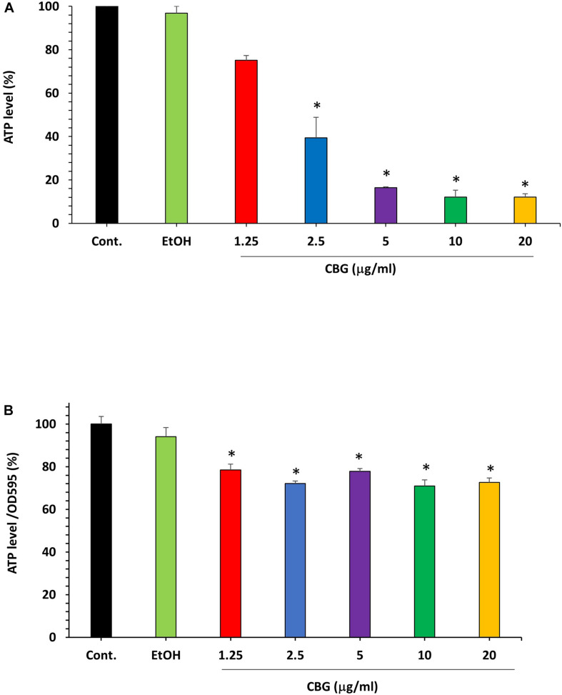The effect of CBG on the ATP levels in S. mutans. (A) The percentage ATP levels in S. mutans treated with various concentrations of CBG (0–20 μg/ml) for 2 h in comparison to control. n = 3; *P < 0.05. (B) The percentage of the ATP/OD595nm normalized levels in S. mutans treated with various concentrations of CBG (0–20 μg/ml) for 2 h in comparison to control. n = 3; *p < 0.05.