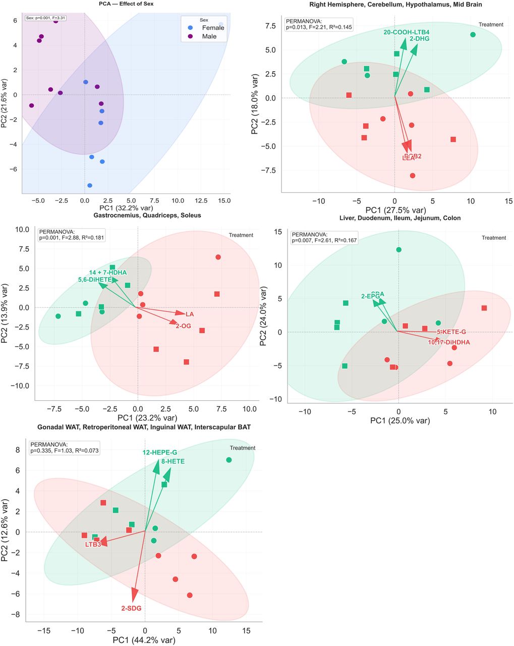 Principal Component Analysis (PCA) plots illustrate treatment- and sex-dependent clustering of lipid mediators in (A) Female (blue) and male (purple), there is significant sex effect in the groups (p= 0.001). PCA showed significant treatment effect in (B) gastrointestinal tract (p=0.008) (liver, duodenum, ileum, jejunum, colon), (D) skeletal muscle (p=0.001) (gastrocnemius, quadriceps, soleus), and (E) brain regions (p=0.036) (cerebellum, hypothalamus, midbrain, right hemisphere) but not significant in (C) adipose Tissues (p=0.408) (gonadal, retroperitoneal, inguinal, interscapular BAT). Ellipses represent 95% confidence intervals. PERMANOVA results (F, p, R²) indicate significant effects of treatment or sex. Arrows highlight the top two lipid mediators contributing to separation along PC1 and PC2.