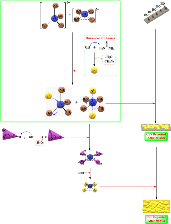 The growth mechanism of CdS + MPA in CBD.