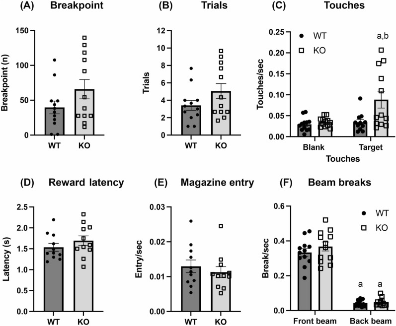 Behavioural outputs of WT and α-DB KO mice on the PR16 task. α-DB KO mice showed a non-significant trend towards increased breakpoint (a) and completed trials (b) compared to WT animals. Target touches and target vs. blank touches were significantly higher in KO than WT mice (c). No differences were observed between α-DB KO and WT animals on reward collection latency (d), number of magazine entries/sec (e) or front and rear beam breaks/sec (f). n = 12/group. For C, a = p < 0.01 vs. blank touches/sec, b = p < 0.01 vs. WT. For F, a = p < 0.0001 vs. front beam breaks/sec, two-way repeated measures ANOVA with Sidak’s post-hoc