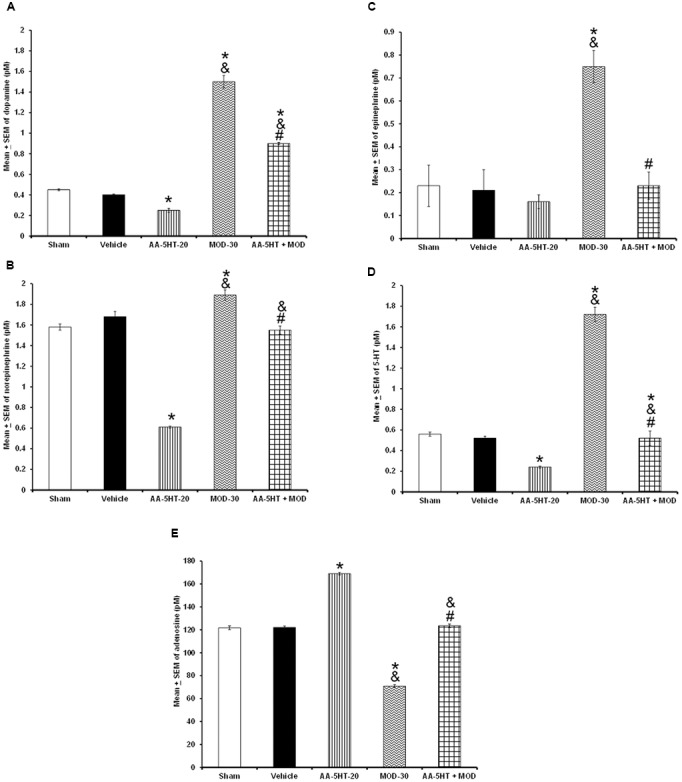 Effects on the extracellular levels of DA, NE, EP, 5-HT, and AD after the administration of AA-5-HT (20 mg/Kg; i.p.), modafinil (MOD; 30 mg/Kg; i.p.) or AA-5-HT (20 mg/Kg; i.p.), and 15 min MOD (30 mg/Kg; i.p.) at the beginning of the lights-on period. AA-5-HT decreased the extracellular contents of catecholamines whereas increased levels of AD. On the other hand, MOD induced opposite effects. Importantly, administration of AA-5-HT before the injection of MOD partially was able to prevent the increase in levels of DA, NE, EP, 5-HT, and blocked the decrease of AD contents (A–E, respectively. Mean ± SEM ∗ vs. Sham/Vehicle, P < 0.05; & vs. AA-5-HT-20, P < 0.05; # vs. MOD-30, P < 0.05). Abbreviations: Modafinil 30 mg/Kg, i.p. (MOD-30), AA-5-HT-20 mg/Kg (AA-5-HT-20).