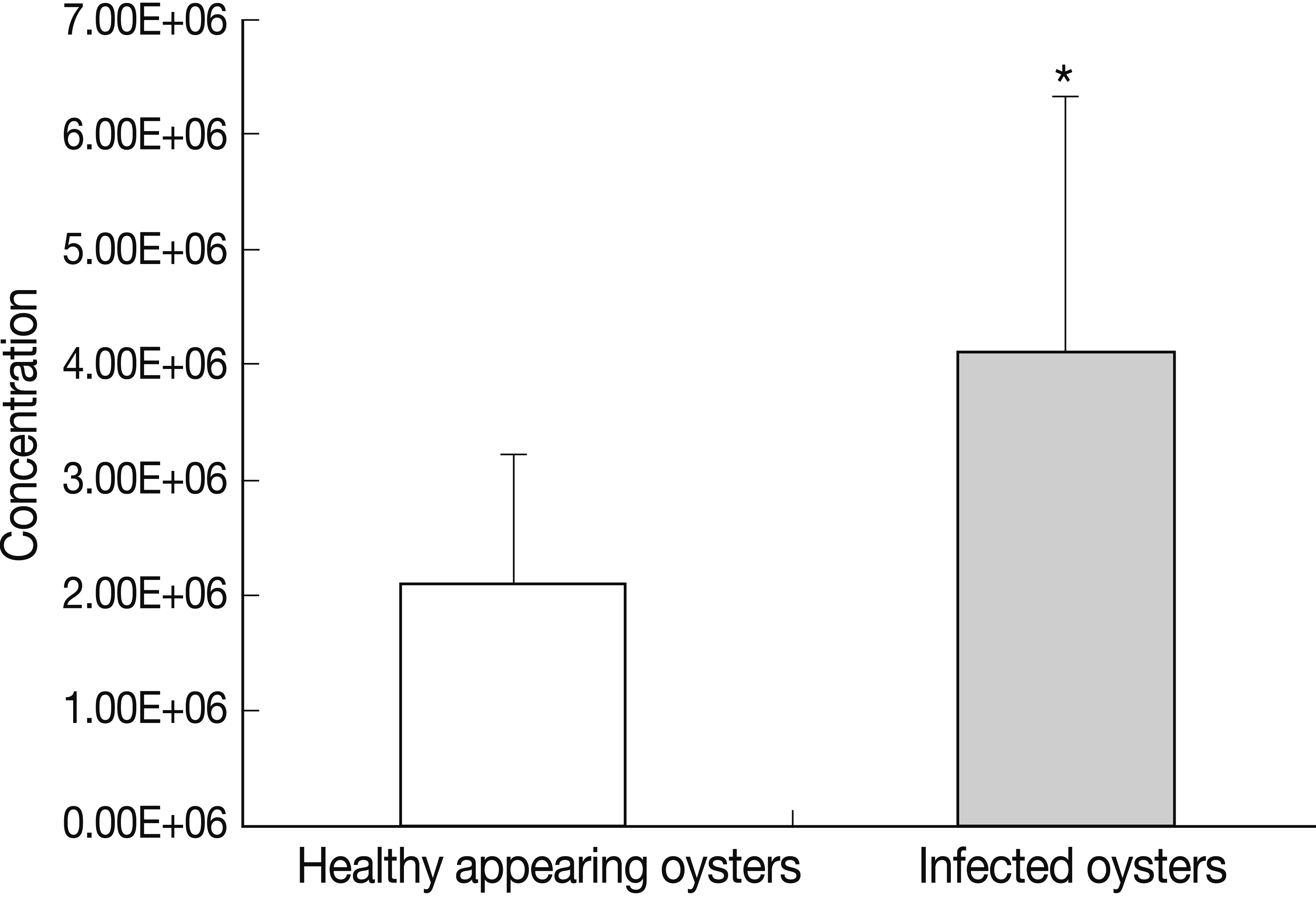 Total hemocyte counts of healthy appearing oysters and M. chungmuensis-infected oysters evaluated via flow cytometry. *P<0.05.