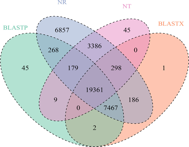 Gene annotation Venn diagram.Comparison of the annotated gene results from the NT, NR, UniProt-BLASTX, and UniProt-BLASTP databases
