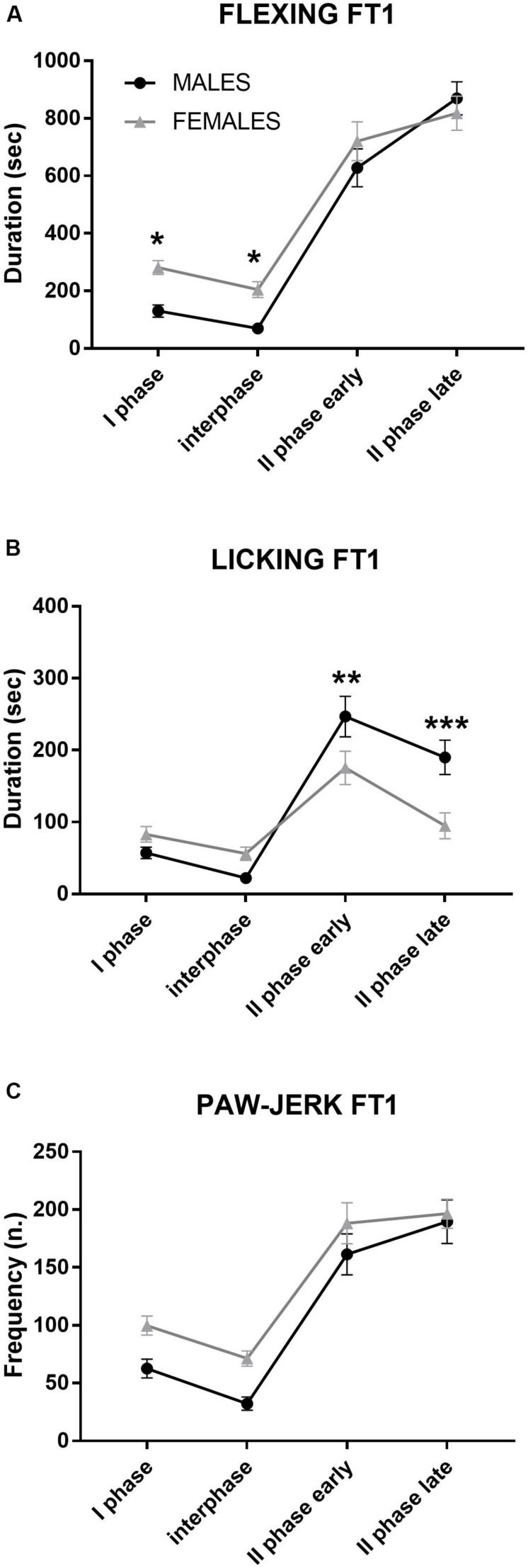 Formalin test 1 (FT1): differences between males and females in formalin-induced flexing (A), licking (B), and paw jerk (C) during the 60 min of the test. For clarity, the time course was subdivided into four phases: I phase, 0–10 min; interphase, 10–20 min; II phase early, 20–40 min; and II phase late, 40–60 min. *p < 0.05, **p < 0.01, and ***p < 0.001 vs. other sex, same phase. Values are the mean ± SEM.
