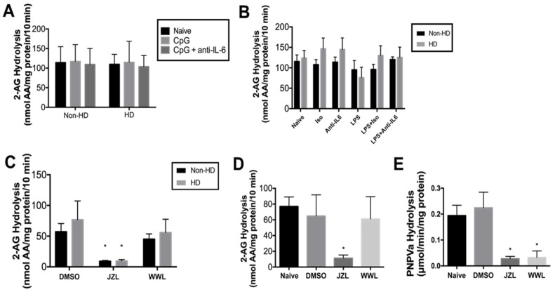 2-arachidonoylglycerol (2-AG) hydrolytic activity and carboxylesterase (CES) activity in human PBMCs. Cell lysates were pre-incubated for 5 min at 37 °C, then supplemented with 2-AG (final concentration, 50 µM). Incubation proceeded for 10 min before quenching the reaction, and arachidonic acid (AA) levels were quantified by LC/MS-MS using AA-d8 as internal standard. PBMCs treated with CpG (1 µM) or CpG with an IL-6 neutralizing antibody were utilized (A; n = 6) or PBMCs treated with LPS, an IL-6 neutralizing antibody, or an isotype control were utilized (B; n = 5 for all groups except the group treated with LPS alone, n = 2). (C) Cell lysates from non-HD and HD individuals (n = 5) were pretreated with inhibitors of CES1 (WWL113) and monoacylglycerol lipase (MAGL) (JZL184) (final concentration, 1 µM) or 0.1% DMSO for 30 min at 37 °C prior to adding 2-AG. (D) Cell lysates from commercially obtained healthy PBMCs (n = 5 individuals) confirmed the results observed with non-HD and HD individuals. (E) CES activity of commercially obtained PBMCs (n = 5 individuals) was determined by measuring the hydrolysis of the pan-CES substrate pNPVa (final concentration, 500 µM). JZL184 or WWL113 (final concentration, 1 µM) was utilized in some experiments to inhibit CES activity. Three technical replicates were run for each individual. * p < 0.05 as compared to DMSO of same treatment group. Differences between groups and treatments were assessed by one-way analysis of variance (D,E) and two-way analysis of variance (A–C).