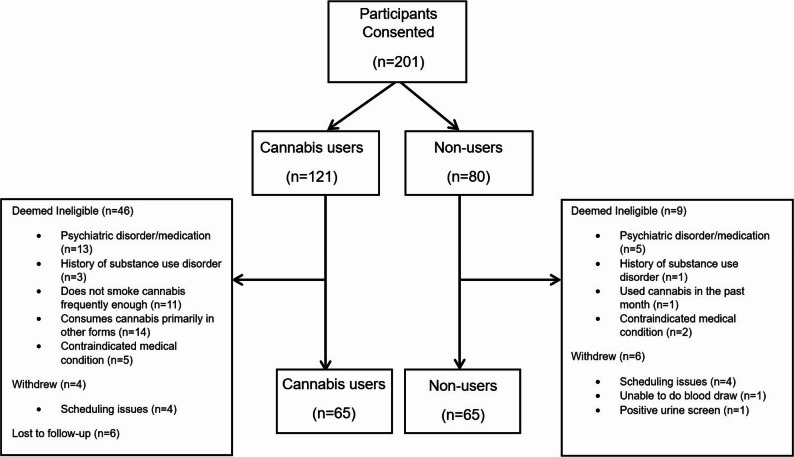 CONSORT diagram