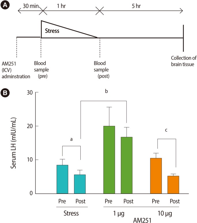 The serum LH concentrations across experimental groups, before and after the stress. (A) Experimental time line. (B) Effects of intracerebroventricular (ICV) administration of AM251 (1 and 10 µg/rat) 30 minutes before the onset of stress on serum LH concentrations. Each value represents the mean±SE of 6 animals. a,b,cp<0.05.