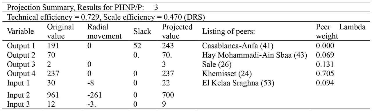 Summary of Peer Weights pour PHNP/P Larache (2020)