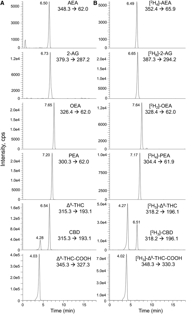 Observed chromatograms for (A) naturally occurring and (B) deuterated eCBs, NAEs, and phytocannabinoids. Peak intensity of analytes, in cps, is plotted against retention time in minutes. Resolution of isobaric Δ9-THC and CBD species was achieved using LC separation with a C18 column and a methanol-water gradient. cps, counts per second; eCBs, endocannabinoids; LC, liquid chromatography; NAEs, N-acylethanolamines.
