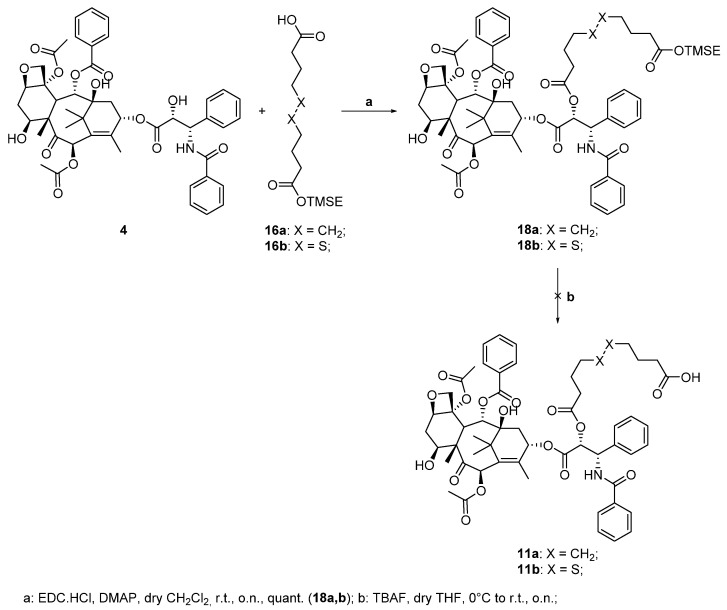 First attempts on the synthesis of paclitaxel-CBD conjugates 8a,b.