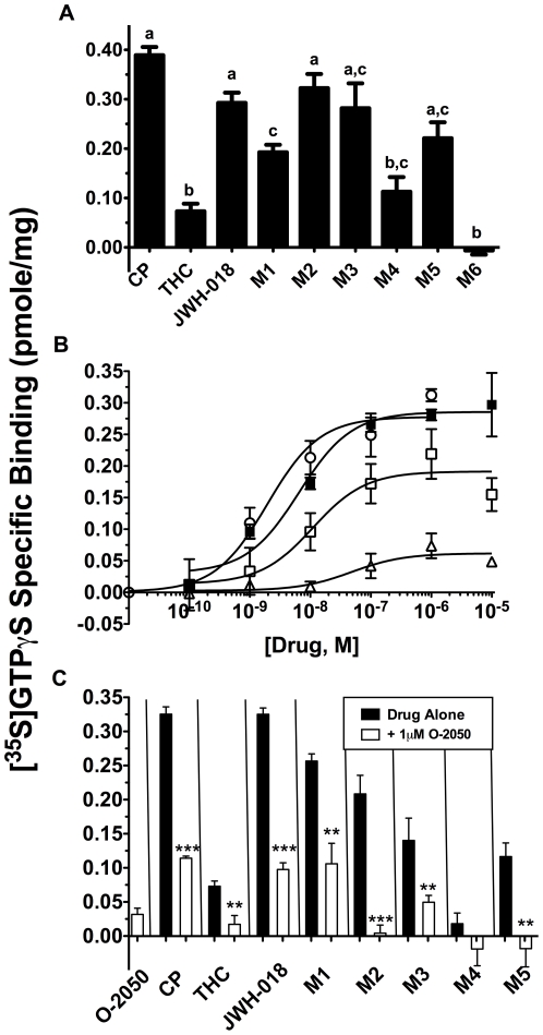 JWH-018 and M1–M5 activate CB1R. A. Ten µM concentrations of JWH-018, M1, M2, M3, and M5 activated brain GPCRs greater than 10 µM Δ9-THC. Activation by JWH-018, M2, M3 and M5 did not differ from the full CB1R agonist CP-55,940. Values designated with different letters above the error bars are significantly different (P<0.05, one way ANOVA with Tukey's Multiple Comparison post-hoc Test, n = 3–10). B. JWH-018 and M1 stimulated G-proteins more potently and efficaciously than Δ9-THC, n = 3–4. C. GPCR activation by an estimated ED90 concentration (100 nM) of metabolites was blocked by co-incubation with 1 µM of the selective neutral CB1R antagonist O-2050 (**P<0.01, ***P<0.001 vs drug alone, Student's t-test, n = 3–7).