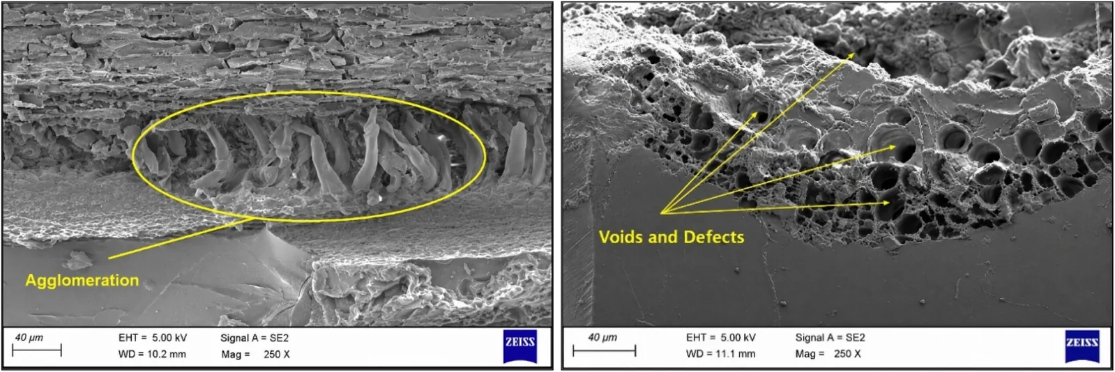 SEM images of 20% SG-HP + E/15%AA.