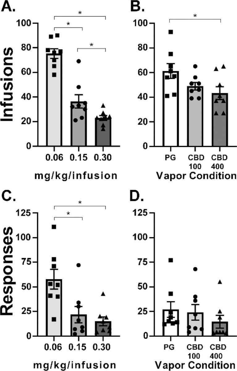 A) Mean (N=8; ±SEM) oxycodone infusions (0.06–0.30 mg/kg) obtained in 3 h sessions under an FR1 response contingency. B) Mean (N=8; ±SEM) oxycodone (0.06 mg/kg) infusions obtained in 3 h sessions under a FR1 response contingency after exposure to vehicle (PG) or cannabidiol (CBD 100 and 400 mg/mL) vapor.
