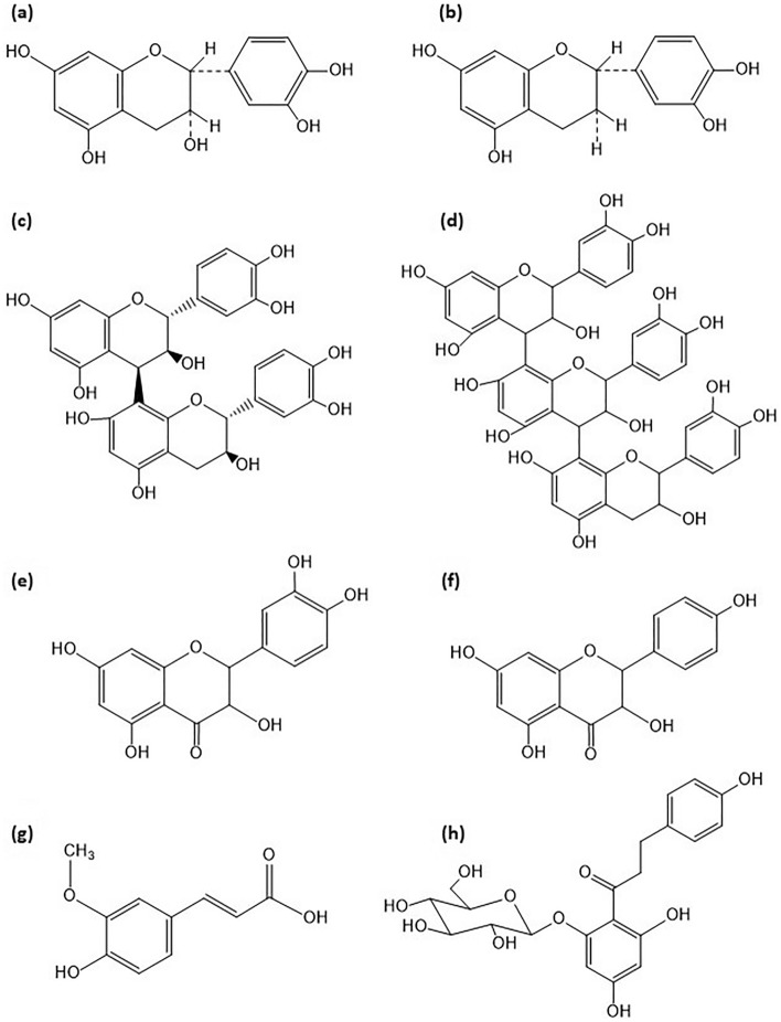 The structure of phenolic compounds found in hemp and milk thistle seed oils: (a) (-)epicatechin, (b) catechin, (c) procyanidin B2, (d) procyanidin C1, (e) quercetin, (f) kaempferol, (g) ferulic acid, (h) phloridzin.