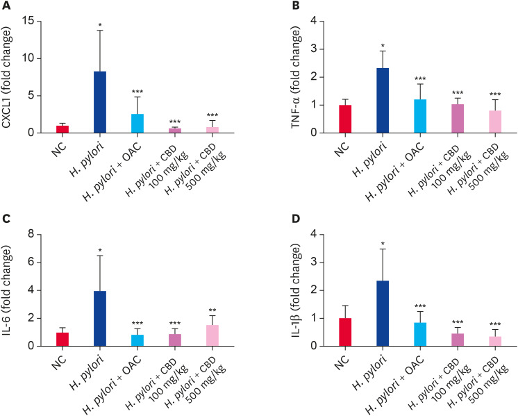 CBD suppresses the mRNA expression levels of cytokines in gastric tissues of mice infected with H. pylori, as assessed by RT-qPCR. (A) The mRNA levels of CXCL1. (B) The mRNA levels of TNF-α. (C) The mRNA levels of IL-6. (D) The mRNA levels of IL-1β. All data are presented as the mean ± standard deviation.CBD, Cheonwangbosim-dan; OAC, omeprazole, amoxicillin, and clarithromycin; mRNA, messenger RNA; RT-qPCR, real-time quantitative polymerase chain reaction; IL, interleukin; CXCL1, C-X-C motif chemokine ligand 1; TNF-α, tumor necrosis factor alpha; NC, normal control.*P < 0.01 vs. the control group; **P < 0.05, ***P < 0.01 vs. the H. pylori group.