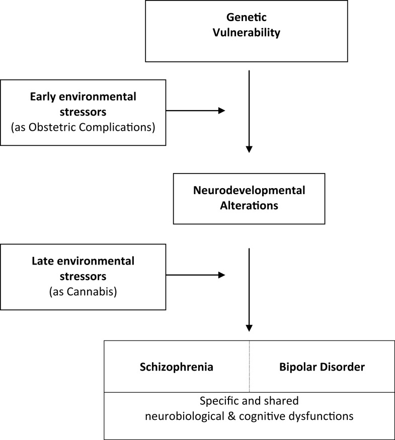 Common developmental pathways leading to schizophrenia and bipolar disorder.
