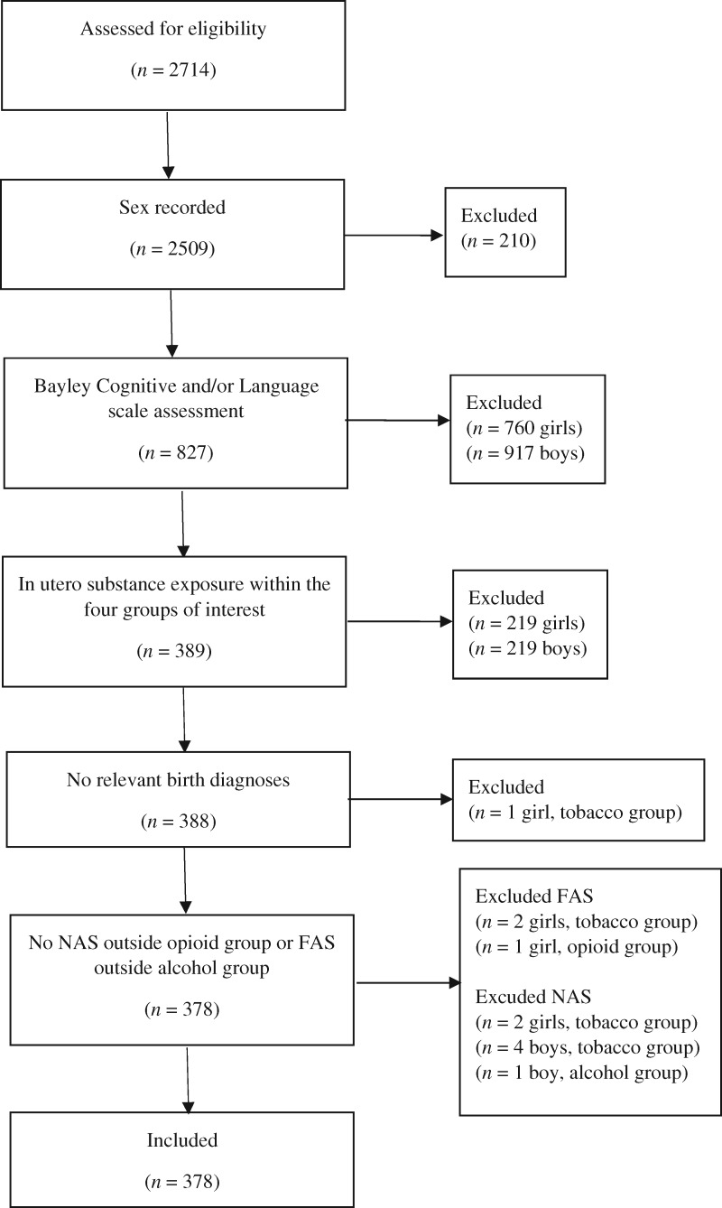 Selection process. Abbreviations: FAS=fetal alcohol syndrome; NAS=neonatal abstinence syndrome. Numbers are referring to children in the database. The child excluded due to relevant birth diagnoses was diagnosed with sepsis.