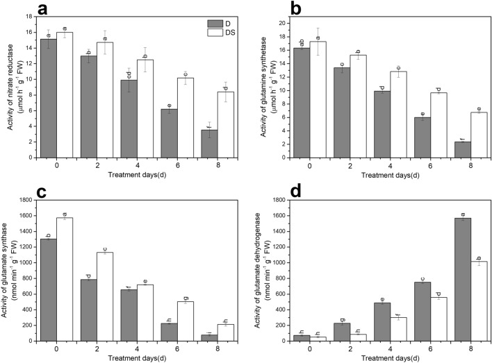 Uniconazole-induced nitrogen metabolism-related indicators as activity of nitrate reductase (a), activity of glutamine synthetase (b), activity of glutamate synthase (c) and activity of glutamate dehydrogenase (d) under drought stress. All data are presented as the means ± standard errors (n = 4). D and DS expressed as treatments under drought stress and drought stress + uniconazole, respectively.