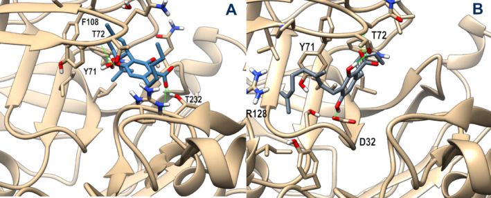 Representative MD frames of BACE‐1 (tan) in complex with CBDA (steel blue, panel A) and CBGA (slate gray, panel B). A stick representation is used for heavy atoms of the ligand and protein sidechains within 5 Å of the ligand. Water molecules within 10 Å from the ligand involved in H‐bonds are shown in stick representation. Hydrogen, nitrogen, oxygen, and sulfur atoms are painted white, blue, red, and yellow, respectively. Half‐transparency is employed for the ribbon representation of protein regions overlying the ligand in the selected view. A green wire representation is adopted for H‐bonds.