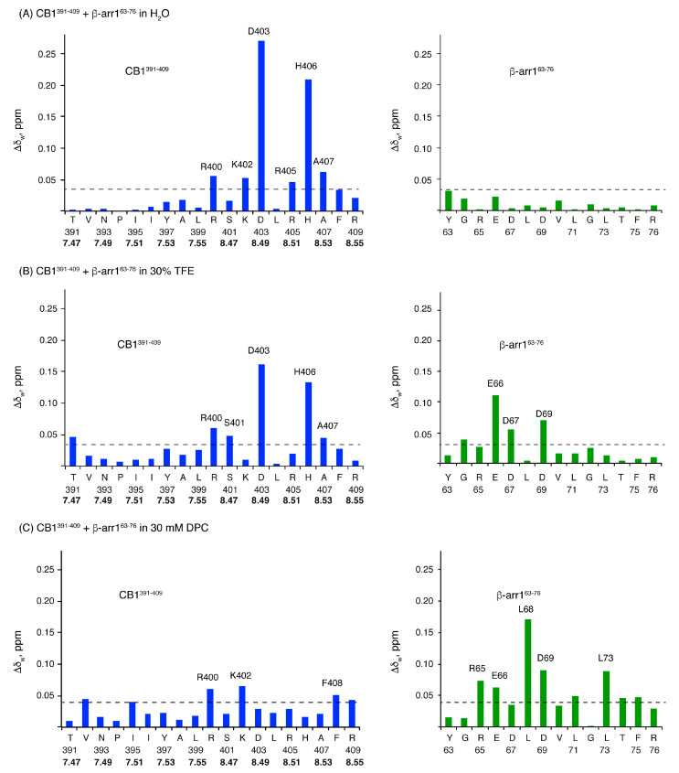 Weighted chemical shift differences (Δδw, ppm) plotted as a function of peptide sequence for CB1391-409 (blue bars) and β-arr163-76 (green bars). Δδw values are calculated as Δδw=[(ΔδHαinteraction)2+(ΔδNHαinteraction)2+((ΔδCαinteraction)2/4)]1/2, where ΔδHαinteraction, ΔδNHαinteraction and ΔδCαinteraction are the chemical shift differences of the corresponding nuclei for the free peptides and in the mixture in H2O (A), 30% TFE (B) or 30 mM DPC (C) at pH 5.5 and 25 °C. In the case of CB1391-409, the Ballesteros and Weinstein numbering is shown in bold.