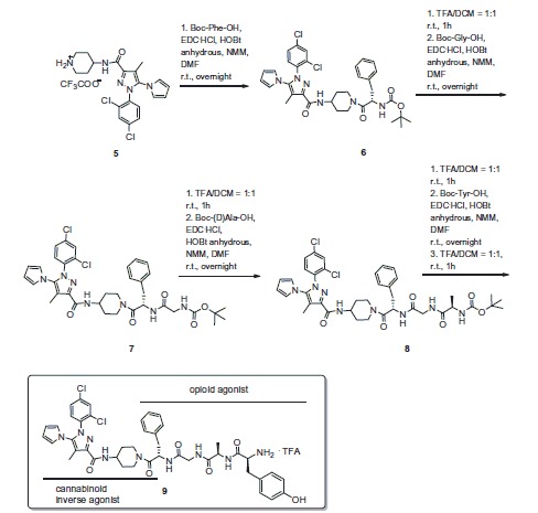 Synthesis of bivalent compound 9.
