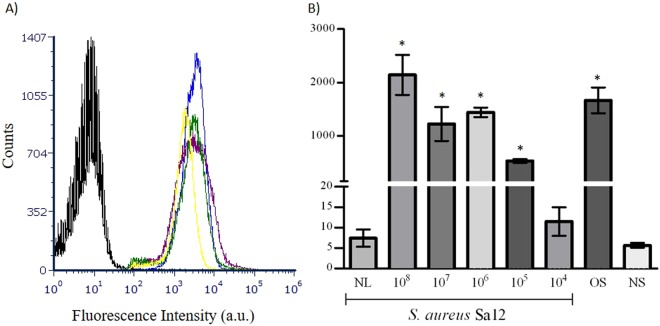 Graphical representation of the specificity and detection limit of the flow cytometry assays. (A) Overlay of the different histograms obtained by flow cytometry after incubation of GFP-AMI_SH3 with different bacterial strains. In black: A. baumannii 13; blue: S. aureus Sa12; green: S. warneri SECOMF16; purple: S. aureus Sa26; and yellow: S. epidermidis RP62A. (B) Mean of the fluorescence intensity (in arbitrary units (a.u.)) after incubation of GFP-AMI_SH3 with: S. aureus Sa12 at different concentrations (104 CFU mL−1 to 108 CFU mL−1); “OS”- Other Staphylococcus - S. warneri SECOMF16, S. aureus Sa26 and S. epidermidis RP62A (108 CFU mL−1); and “NS” - non-staphylococcal bacteria- A. baumannii 13, K. pneumoniae 35 and P. aeruginosa PA3 (108 CFU mL−1). Error bars represent standard deviations from three independent experiments performed in duplicate. *Statistically significant (p value <0.05) differences of fluorescence intensity mean values from the unlabelled S. aureus Sa12 (NL).