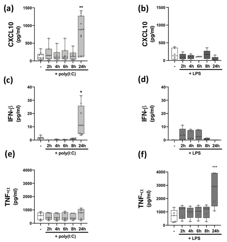 Time-dependent effect of TLR3/4 stimulation on CXCL10, IFN-β, and TNF-α expression in PBMCs from healthy volunteers. Time-dependent (2–24 h) effect of poly(I:C) (10 μg/mL) treatment on the protein expression of (a) CXCL10 (Kruskal–Wallis statistic = 14.4), (c) IFN-β (Kruskal–Wallis statistic = 20.6), and (e) TNF-α (F(5,24) = 0.33; ANOVA) in PBMCs. Time-dependent (2–24 h) effect of LPS (100 ng/mL) treatment on the protein expression of (b) CXCL10 (Kruskal–Wallis statistic = 3.98), (d) IFN-β (Kruskal–Wallis statistic = 13.4), and (f) TNF-α (F(5,24) = 6.16; ANOVA) in PBMCs. Data were tested for normality using the Shapiro–Wilk test and statistical significance determined by Kruskal–Wallis tests, with Dunn’s multiple comparison post-hoc test (for (a–d)), or one-way ANOVA with Dunnett’s multiple comparison test (for (e,f)). Data are presented as median cytokine/chemokine expression, minimum and maximum values and IQR. Symbols indicate individual data points from HCs (n = 5–11). * p < 0.05, ** p < 0.01 and *** p < 0.001 vs. cells treated with media alone.