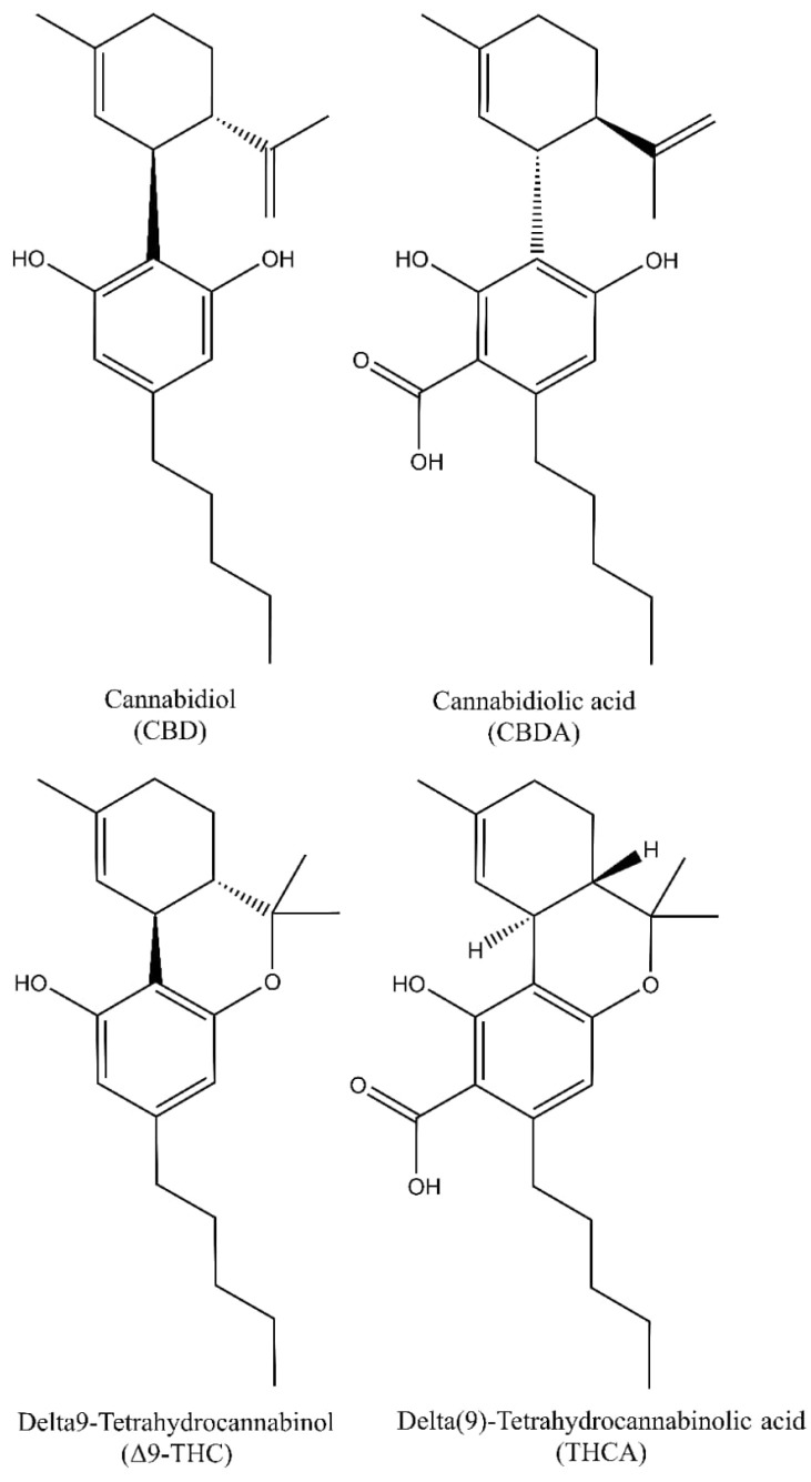 Chemical structures of cannabidiol (CBD), Δ9-tetrahydrocannabinol (Δ9-THC), and its corresponding acids (CBDA and THCA).